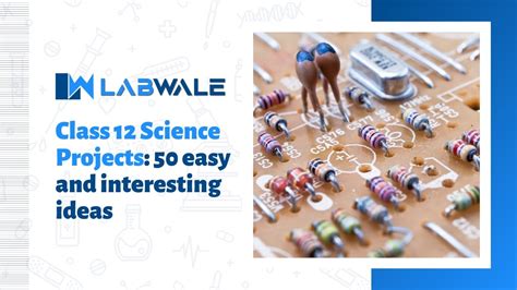 Home Science Project Class 12 的图像结果