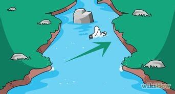 Image result for Tutorial Adult Swim