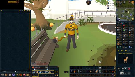 Image result for RS3 Interface Guide