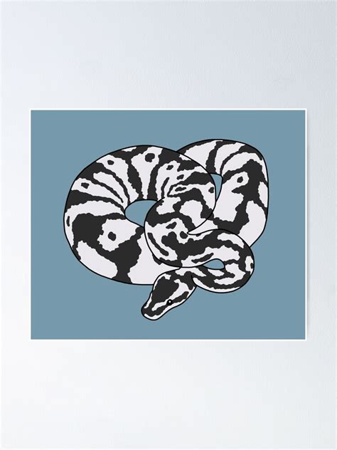 Image result for Python Poster Black