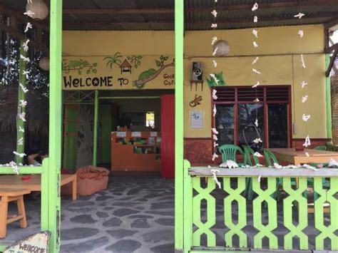 GECKO BACKPACKERS AND CAMPING (Gili Air, Gili Islands) - Lodge Reviews ...