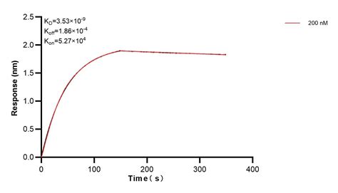 NRG1, isoform Alpha antibody (83251-3-PBS) | Proteintech