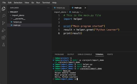 Image result for Weird Python Import