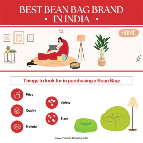 Best Bean Bag Brand In India | ThreadVibe Living
