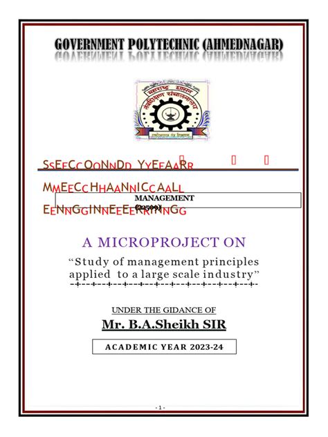 Micro-Projects 的图像结果