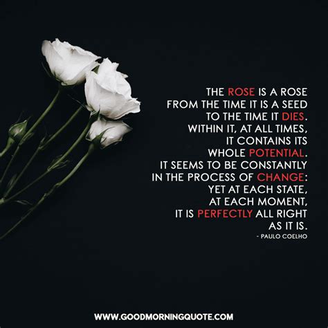 Inspiring and Beautiful Rose Quotes With Images - Good Morning Quotes