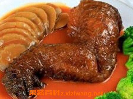 鳄鱼肉的功效 吃鳄鱼肉的好处_蔬菜知识_做法,功效与作用,营养价值z.xiziwang.net