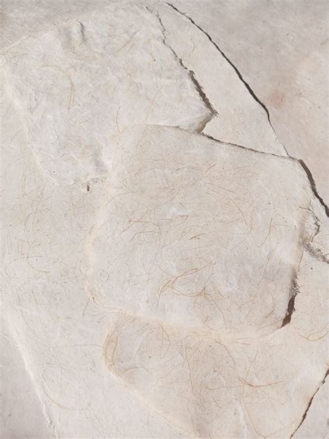 Papermaking - Japanese and Nepalese Style, Creative Aging Network - NC ...