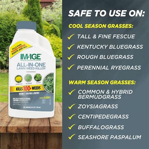 Herbicides All-In-One Lawn Weed Killer Concentrate India | Ubuy