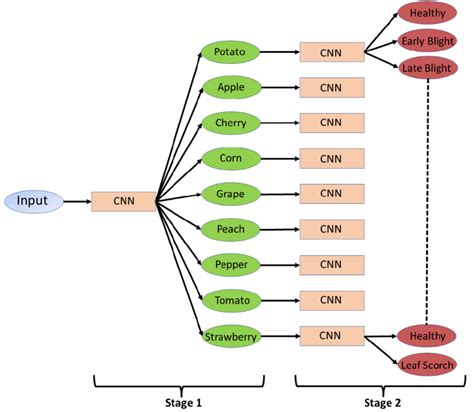 Hierarchical Classification 的图像结果