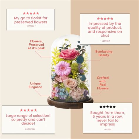 Preserved Roses in Bloom Box - Ana Hana Flower