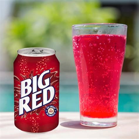 Brandclub - Big Red Soda Soft Drink, 12 Fl Oz (Pack of 24)