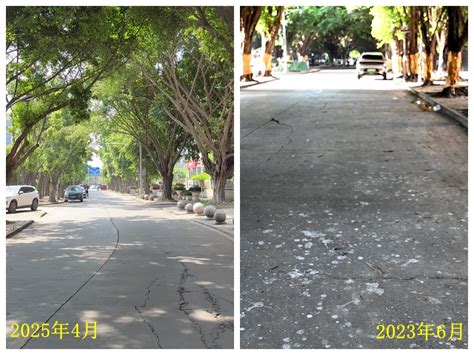 小区鸟屎雨淋头居民只能打伞最新素材