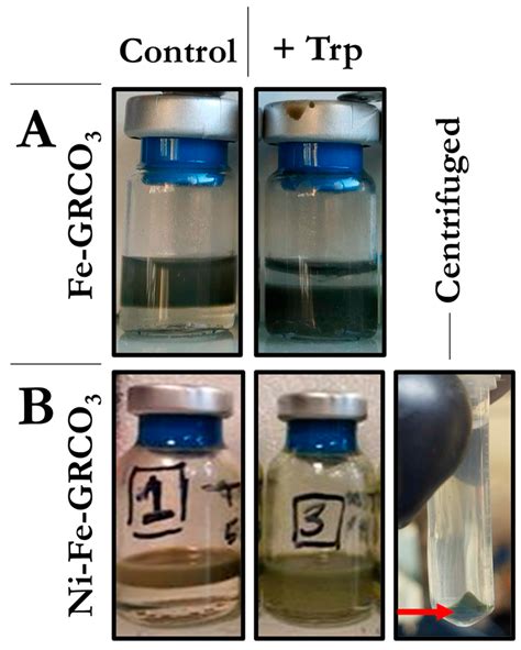 Nanometric and Hydrophobic Green Rust Minerals upon Exposure to Amino ...