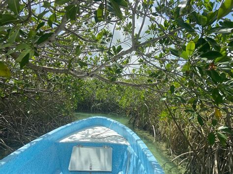 Sian ka'an Eco Adventure - Day Tours (Tulum) - All You Need to Know ...