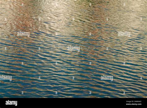 Image result for Lightwave Tutorial Water