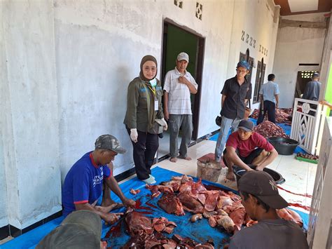 Pastikan Daging Hewan Qurban Layak Dikonsumsi, Disbunnak Keswan Kab ...