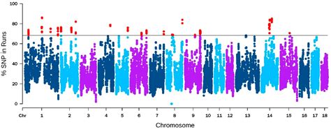 Genome-Wide Association Studies and Runs of Homozygosity to Identify ...