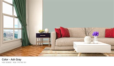 About Ash Gray - Color codes, similar colors and paints - colorxs.com
