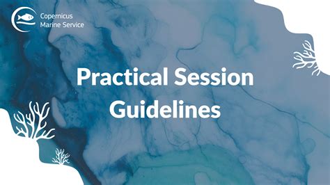 How to Save Our Program in Jupyter Notebook 的图像结果