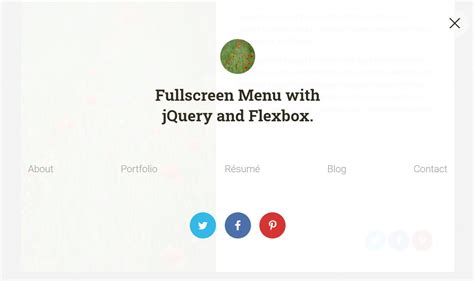 Image result for JavaScript Menu