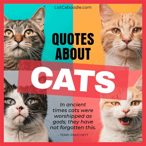 70+ Quotes About Cats (for Cat Lovers, Cat Ladies, & More!)