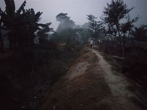 With Elections Around the Corner, Nitish Kumar Resurrects 'Land to ...