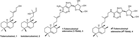 Antibacterial Natural Halimanes: Potential Source of Novel Antibiofilm ...