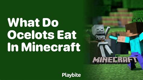 What Do The Ocelots Eat In Minecraft at Donald Blanton blog