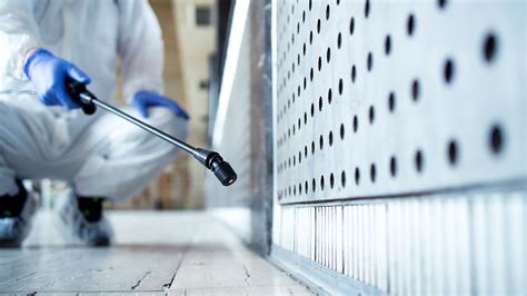 How To Effectively Get Rid Of Pests In Your Home: A Guide