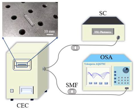 Sensitivity-Enhanced Temperature Sensor Based on PDMS-Coated Mach ...