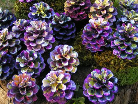 Popular items for pine cone flowers on Etsy | Pine cone art, Pine cone ...