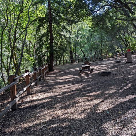 Uvas Canyon County Park Camping | New Almaden, California