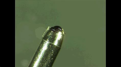 Image result for Ballpoint Pen Under Microscope