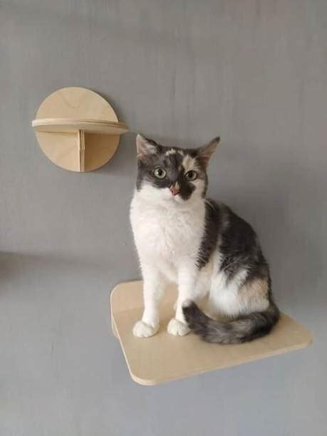 Cat Trees - Buy Cat Trees Online at Best Prices In India | Flipkart.com