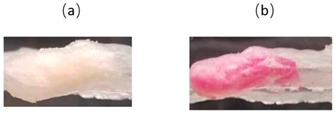 3D Printing Endobronchial Models for Surgical Training and Simulation