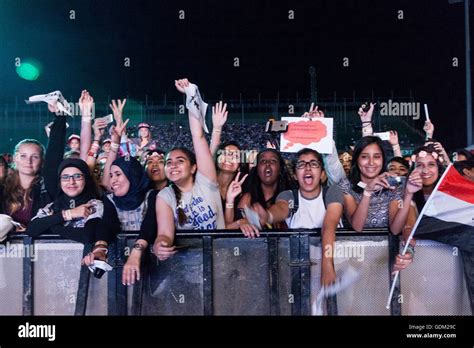 Image result for One Direction Concert Fan Project