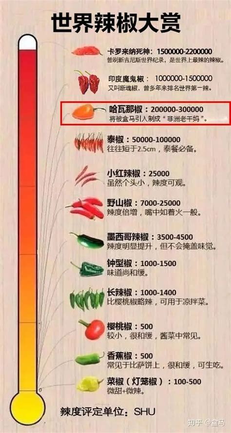 中国最火爆辣椒品种大汇总，种植面积超过10万亩的都在这！_加工