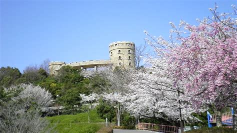 松山 城 に対する画像結果