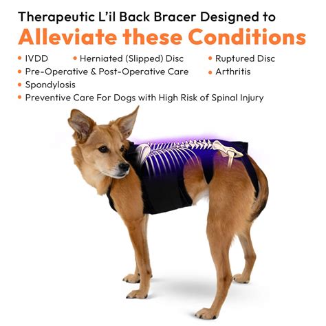 Can Dogs Live With Herniated Discs