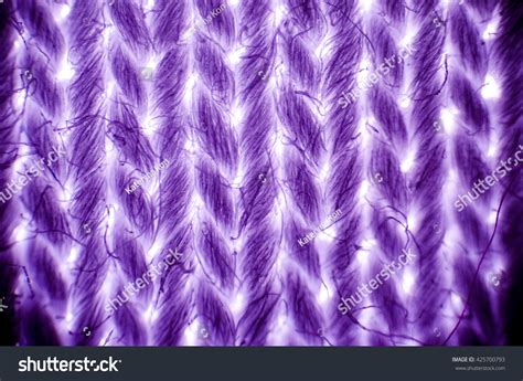 Image result for Wool Under a Microscope