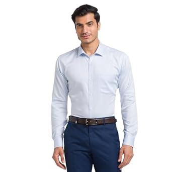 Park Avenue Men Slim Fit Structure Pattern Pure Cotton Semi Cutaway ...