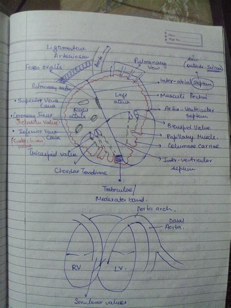 nyutsuons or previous year of the given assignmen(3) Draw the schematic ...