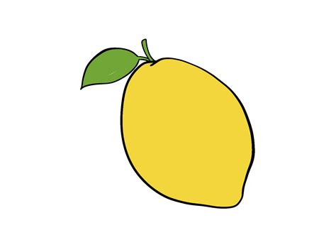 Image result for Simple Lemon Drawing