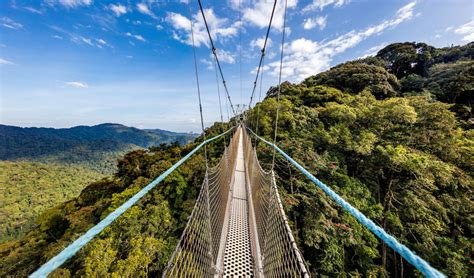 nyungwe canopy wark