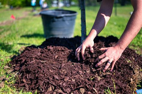 Five Benefits Of Mulching For Your Yard | P.O.P.S Landscaping