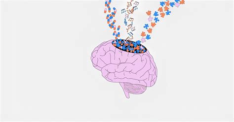 Гайдай Ганна Вікторівна