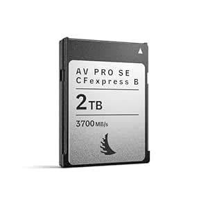 Angelbird AV PRO SE CFexpress B v4 1 TB - CFexpress 4.0 Type B Memory ...