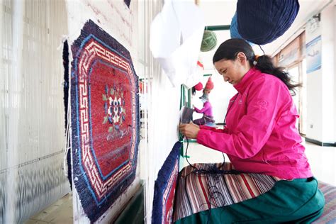 数说宝“藏”丨“转业”！今年逾60万西藏农牧民开启新生活