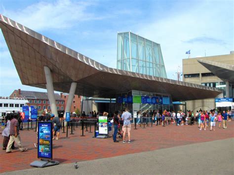 Boston Aquarium Tickets: How to Buy, Prices & Hours - Hellotickets